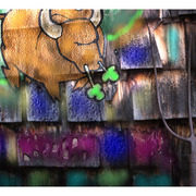 16335027_1__card
