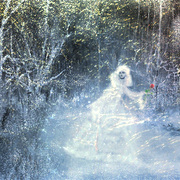 Zima_ii_a_card