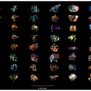 Assortment_1_card