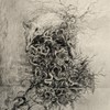 Dritongusia