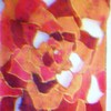 040_thumb