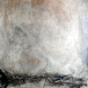 22745_huella17_thumb