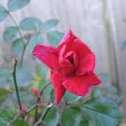 Img_8058_card