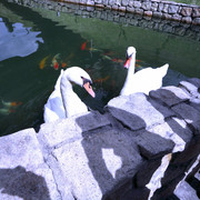 Dsc00107_edited_card