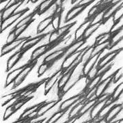 Fish_-fish_-fish_card