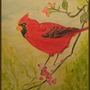 Img_8174_red_bird_12-04-10_crop___border_card