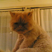 24122007_004__card