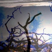 Layers_fires_bird_tree_card