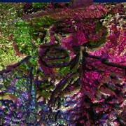 Hendrix12_card