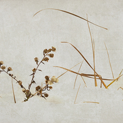Winter_notes_card