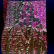 Dury7_card