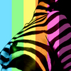 Cg2_copy_thumb