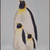 Classybirds_thumb