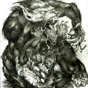Wolf_fight0001_card