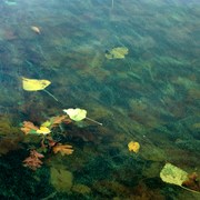 Img_9152_card