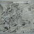 Dsc00123_tiny_square