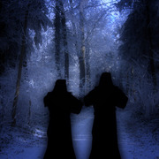 11334407_2__card