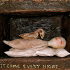 Every_night_thumb
