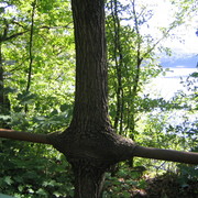 Img_1290_card