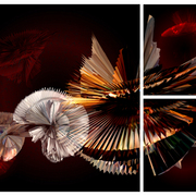 Voyager_card