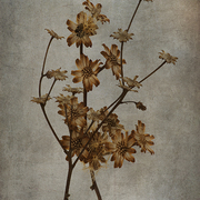 Winter_bouquet_card