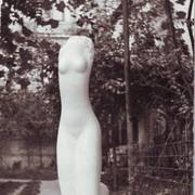 Torso1_card