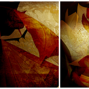 Autumn_card