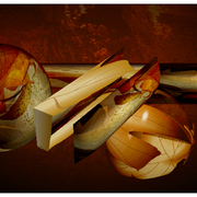 Objects_in_orbit_card