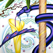 Naturesnectar_card