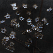 December_evenings_card