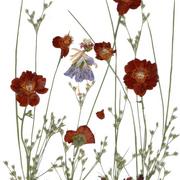 Together_1_card