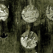 Pic_9994748_0221807_card