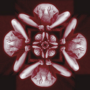 Kaleidoscope_card