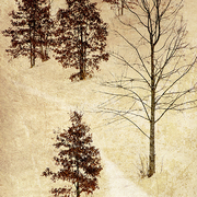 Ethan_s_ride_card