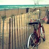 Cimg2833copyright_thumb