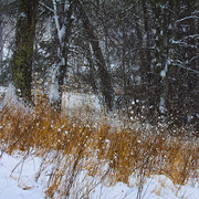 The_pasture_lane_card