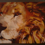 Dsc02362_card