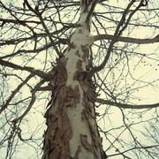 101_2935_card