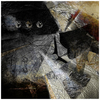 Shards_of_light_thumb