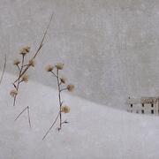 December_afternoons_card