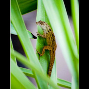 4de84c5feb8f0834409f4ba65cc08889_card