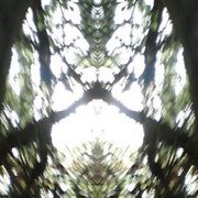 155621_175572029137465_100000540075417_515233_2535433_n_card