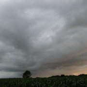 Img_0683_card