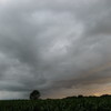 Img_0683_thumb