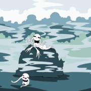 Long_frill_imches_card