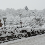 Dsc02525_card