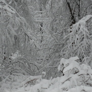 Dsc02602_card