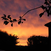 Img_0557_card