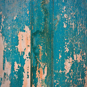Peeley_blue_card
