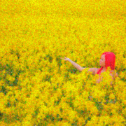 The_colour_of_monet_card